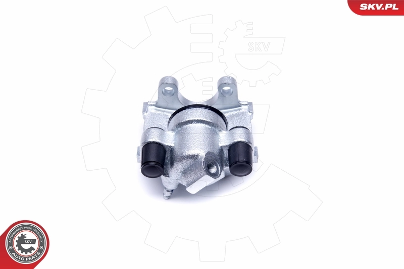 Brake Caliper 50SKV233