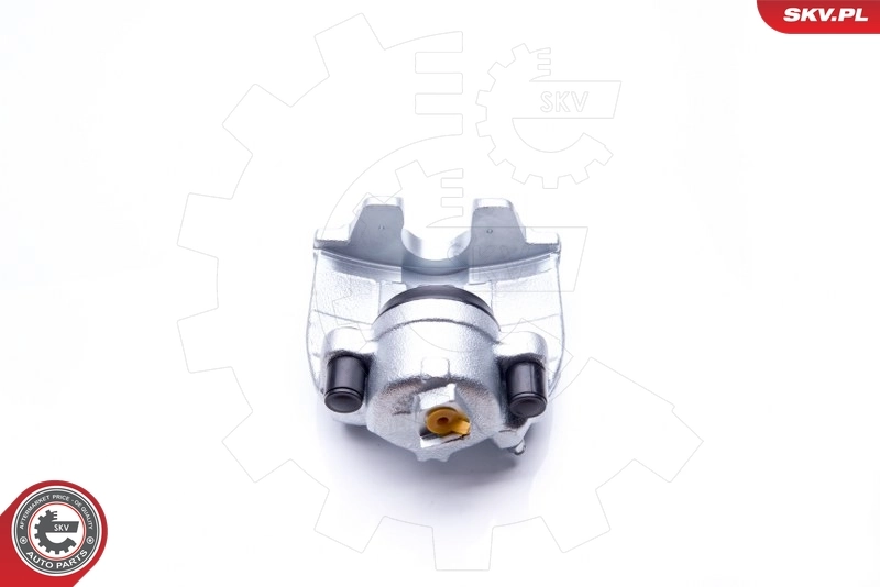 Brake Caliper 42SKV051