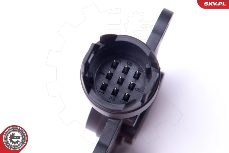 Sensor, camshaft position 17SKV424