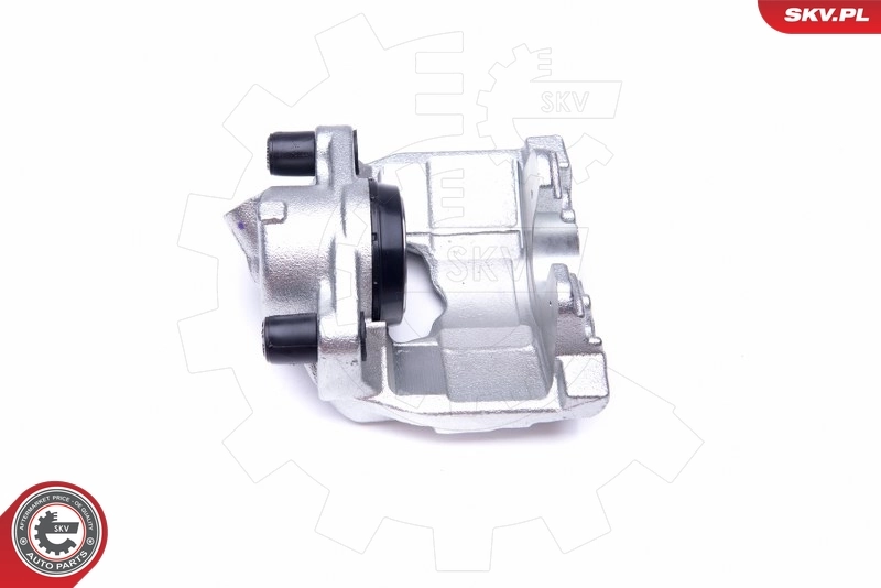 Brake Caliper 42SKV512