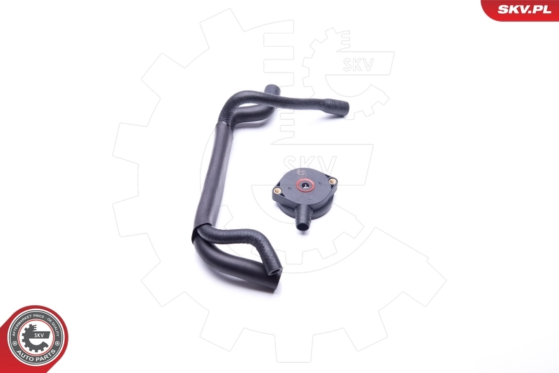 Repair Kit, crankcase ventilation 31SKV101