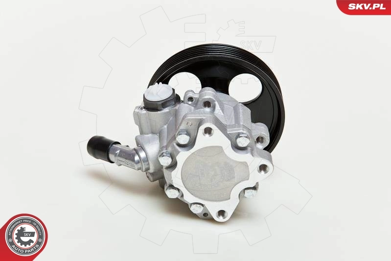 Hydraulic Pump, steering 10SKV060