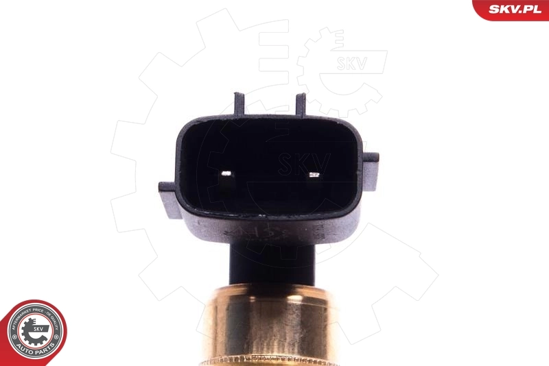 Sensor, engine oil level 17SKV751