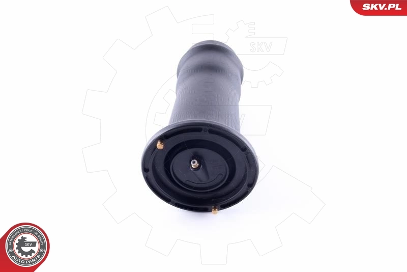 Air Spring, suspension 58SKV039