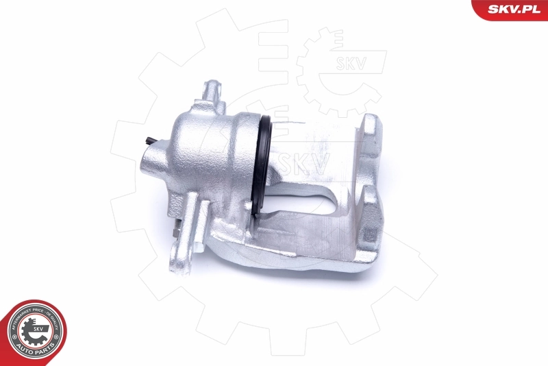 Brake Caliper 42SKV941