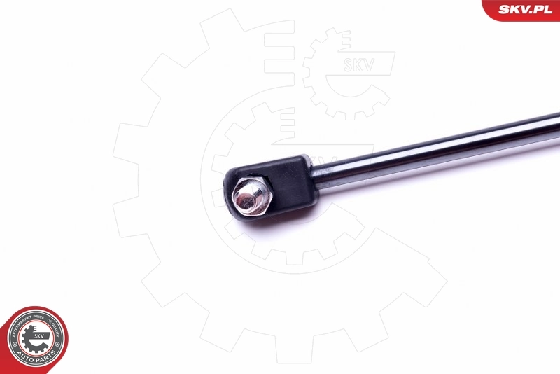 ياي غازي، حجرة الأمتعة/البضائع 52SKV494