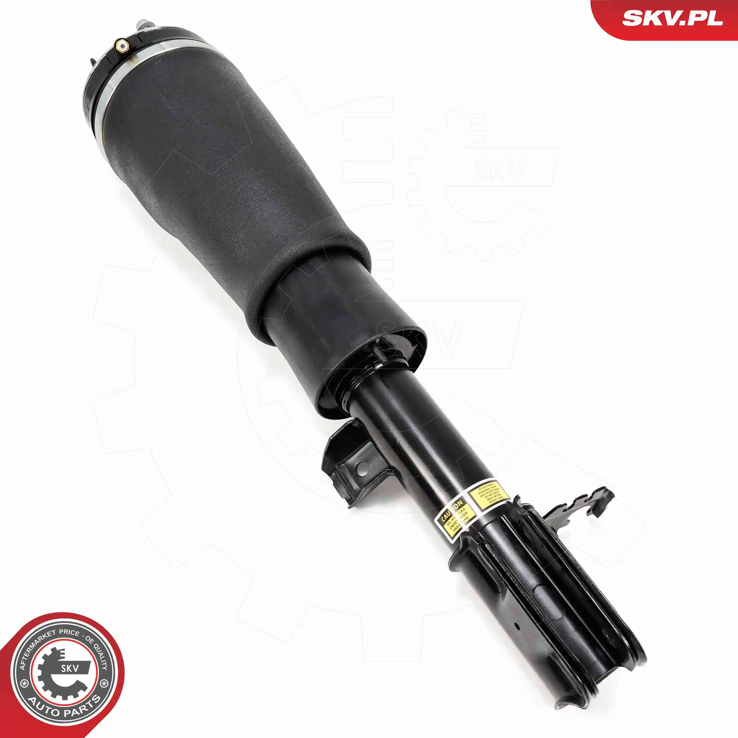 Air Suspension Strut 58SKV709