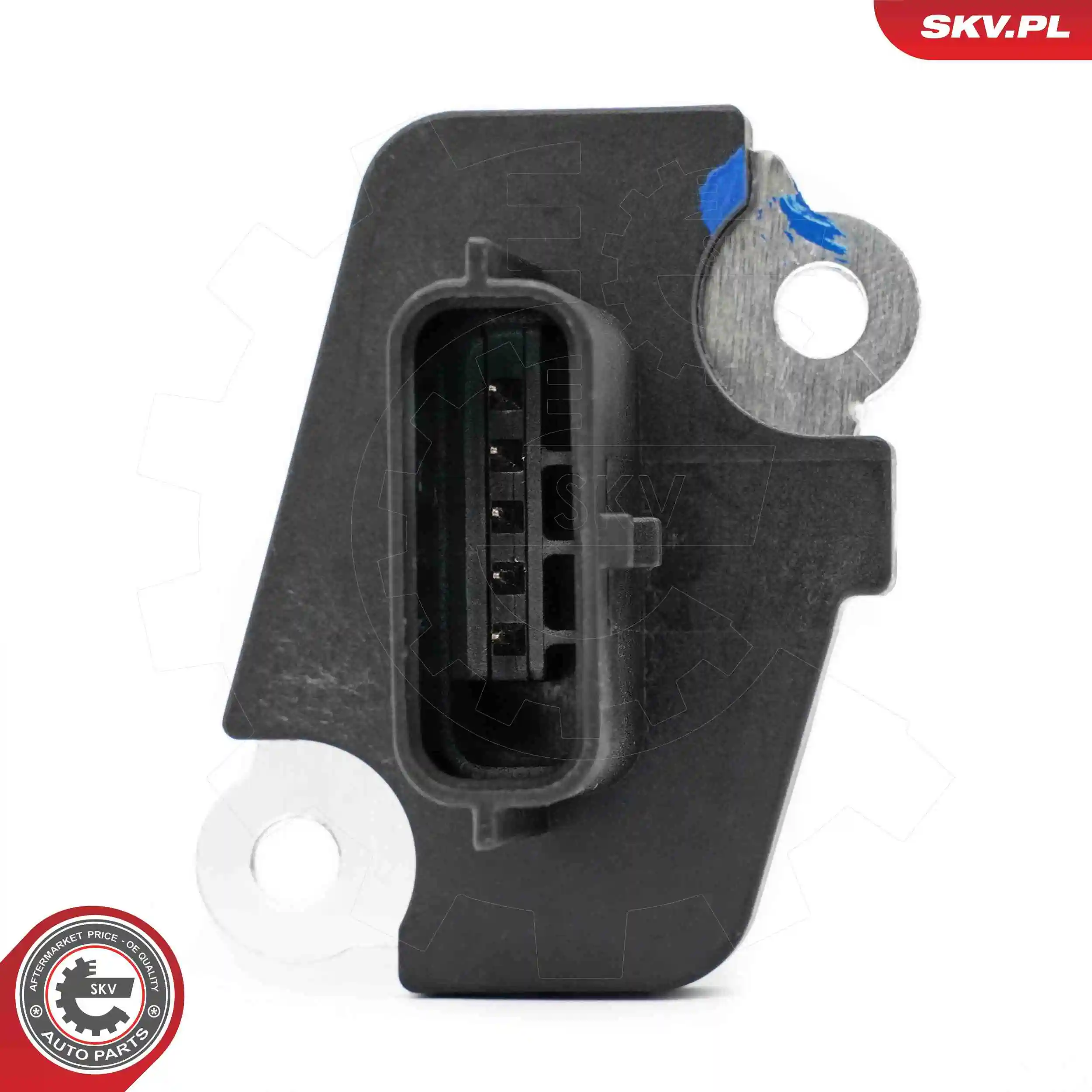 Mass Air Flow Sensor 07SKV212