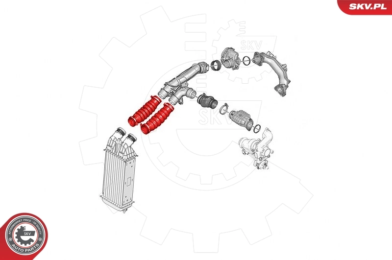 Charge Air Hose 24SKV779
