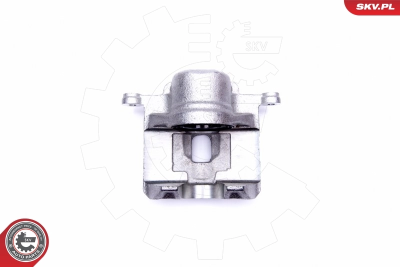 Brake Caliper 45SKV002