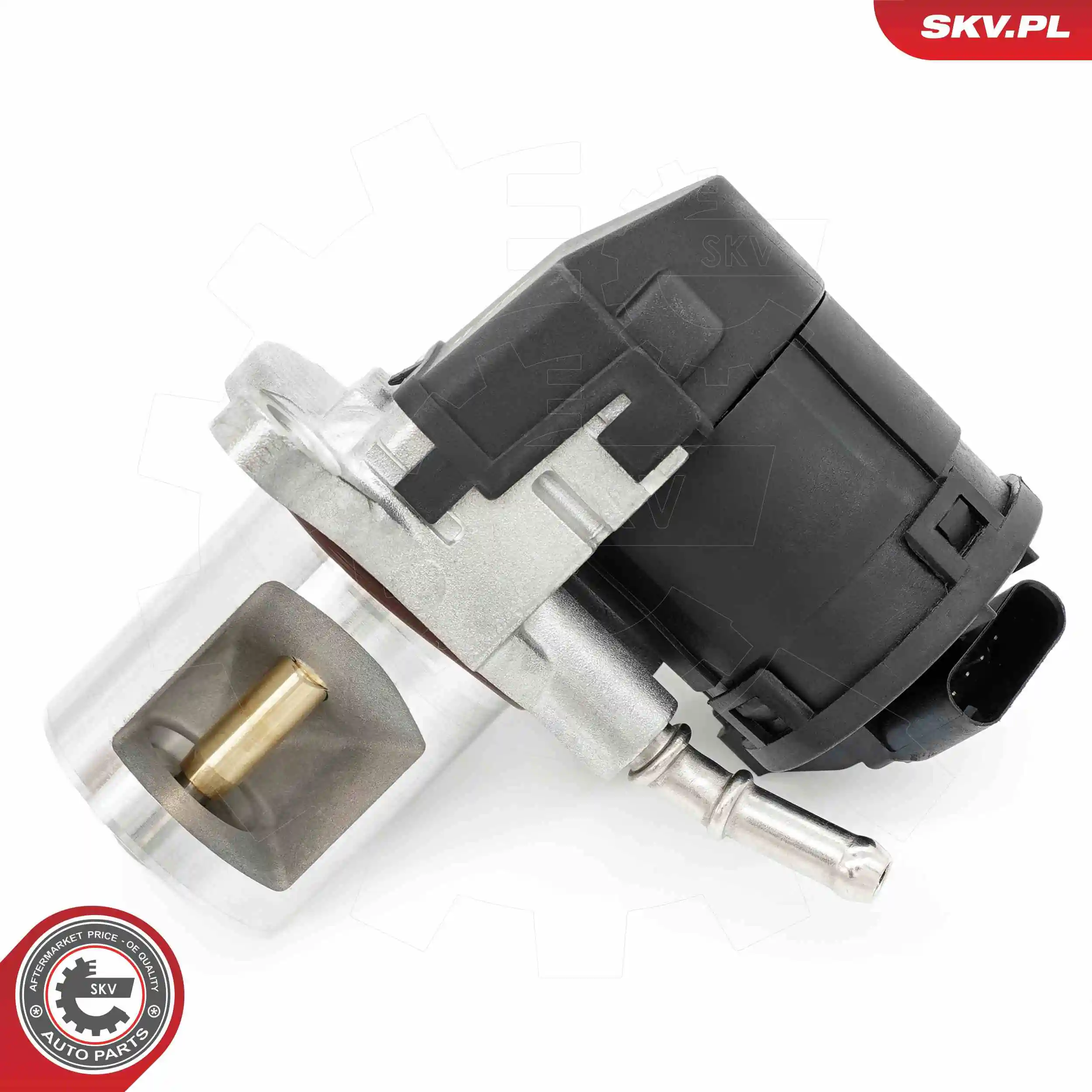 EGR Valve 14SKV266