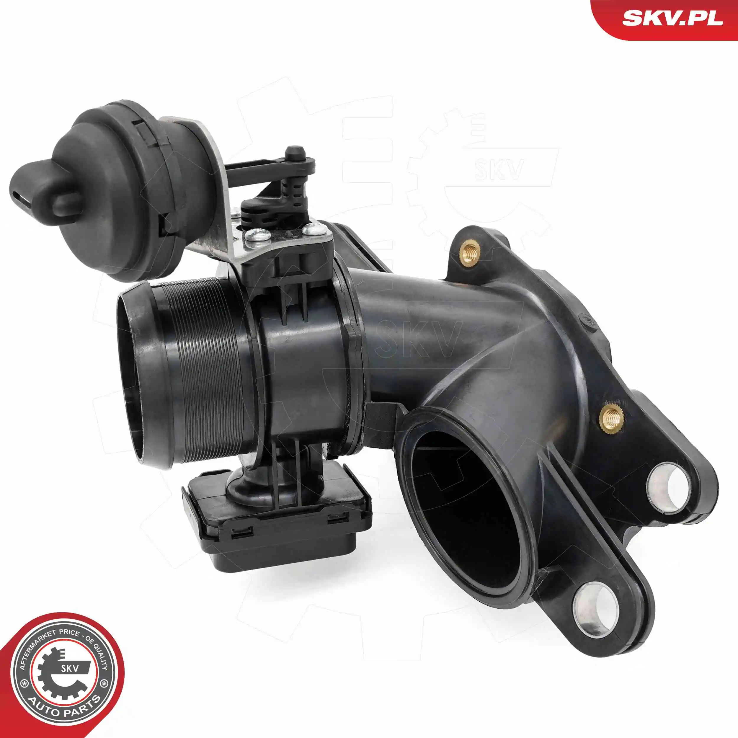 ESEN SKV 12SKV149 Throttle Body