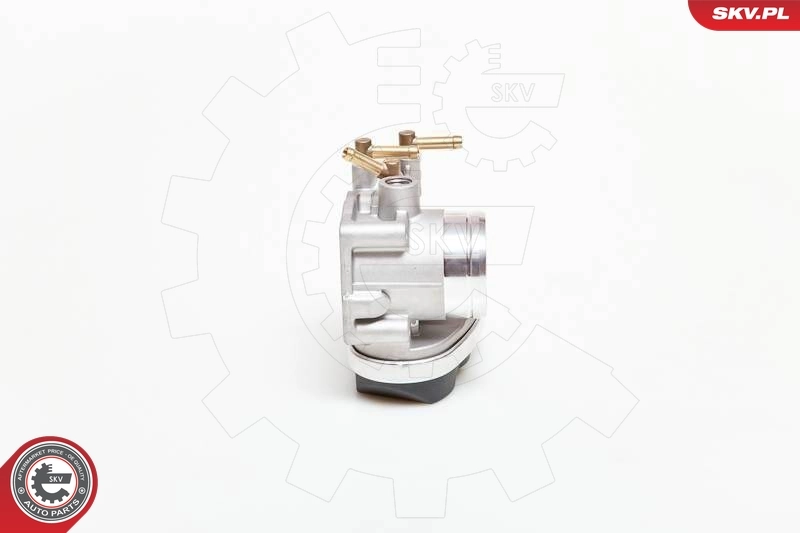 Throttle Body 12SKV032