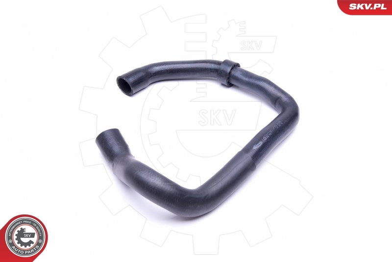 Radiator Hose 43SKV848