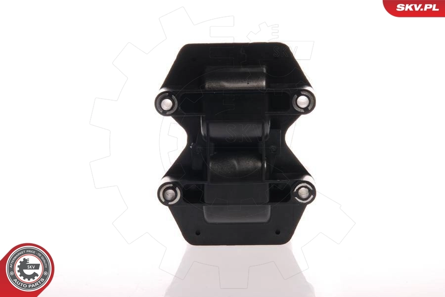 Ignition Coil 03SKV036