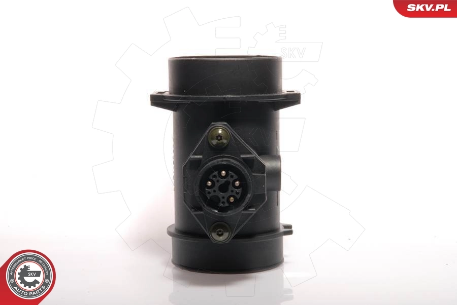 Mass Air Flow Sensor 07SKV004