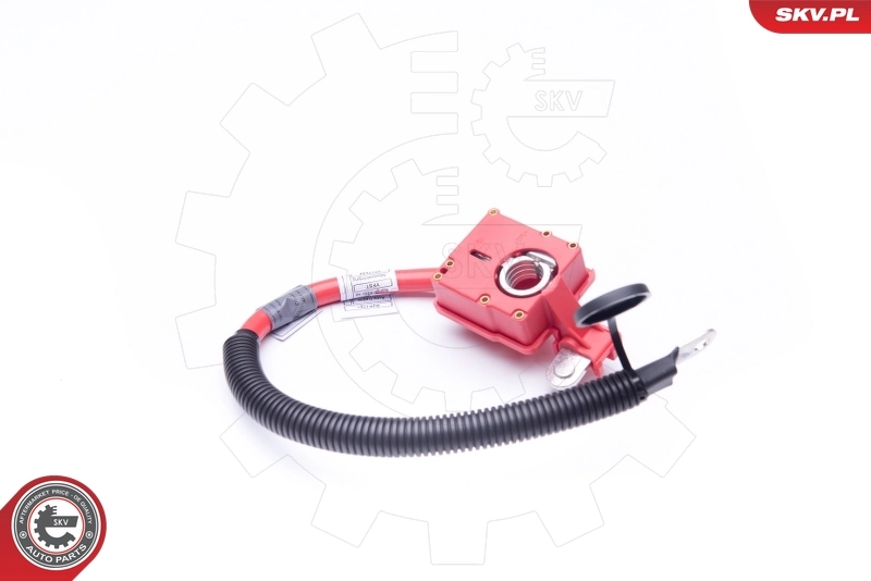 ESEN SKV 96SKV304 Battery Adapter