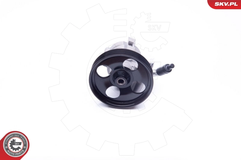 Hydraulic Pump, steering 10SKV250