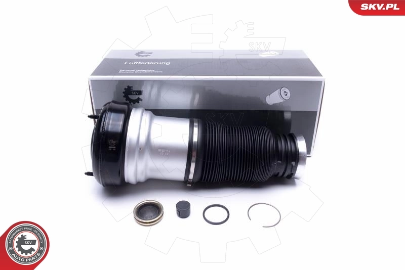 Air Suspension Strut 58SKV065