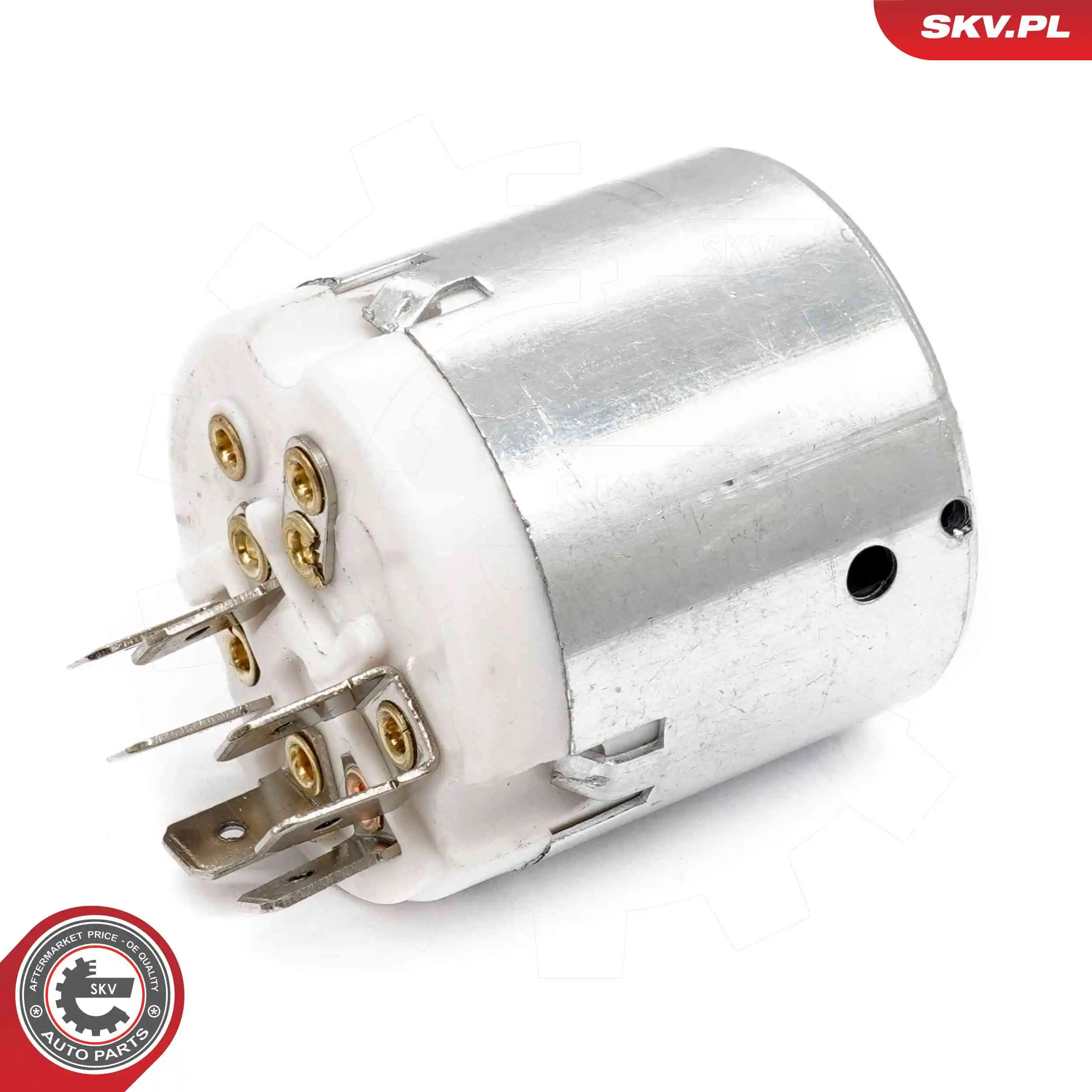 Ignition Switch 65SKV039