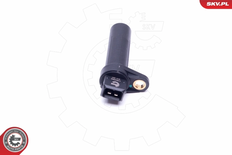 Sensor, crankshaft pulse 17SKV523