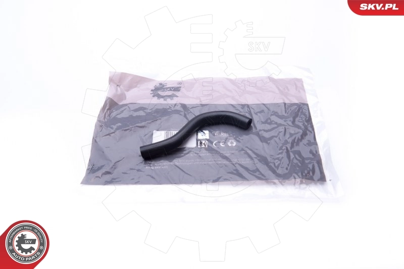 Hose, crankcase ventilation 31SKV117