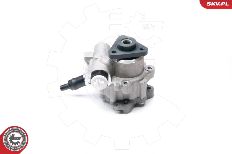 Hydraulic Pump, steering 10SKV233