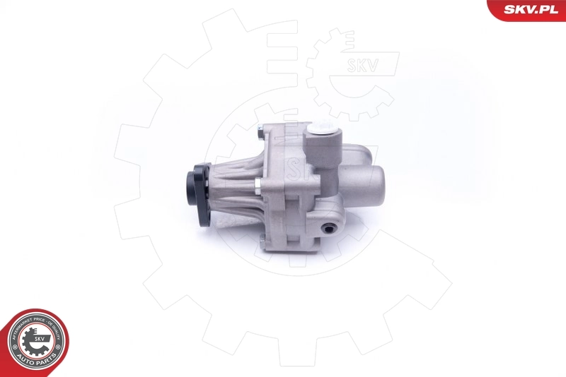 Hydraulic Pump, steering 10SKV245