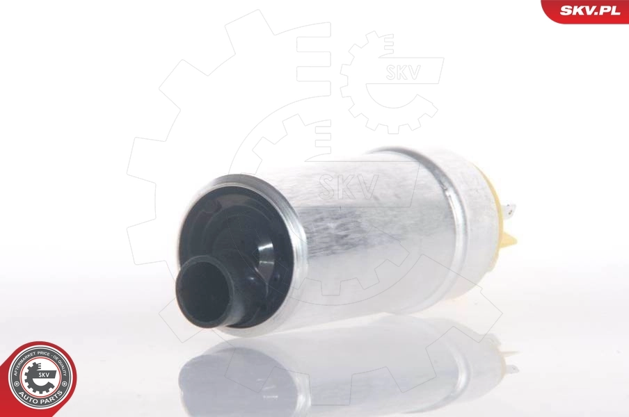 Fuel Pump 02SKV229