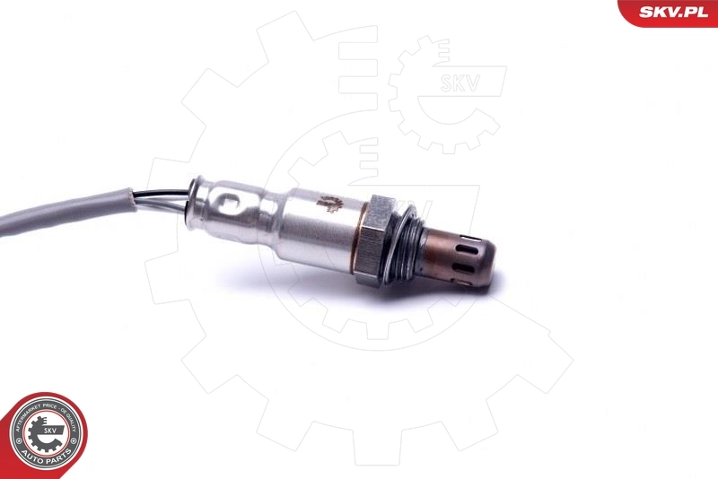 Oxygen Sensor 09SKV116