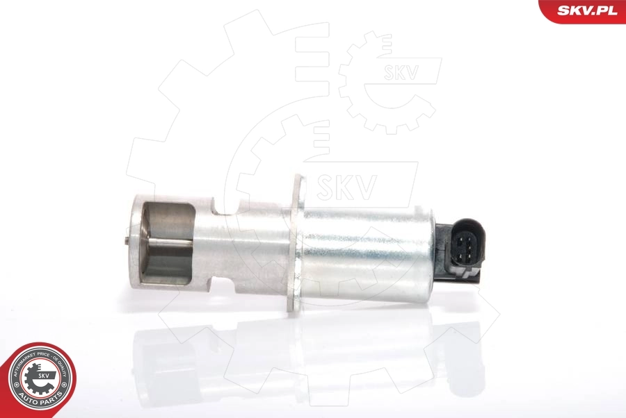 EGR Valve 14SKV021