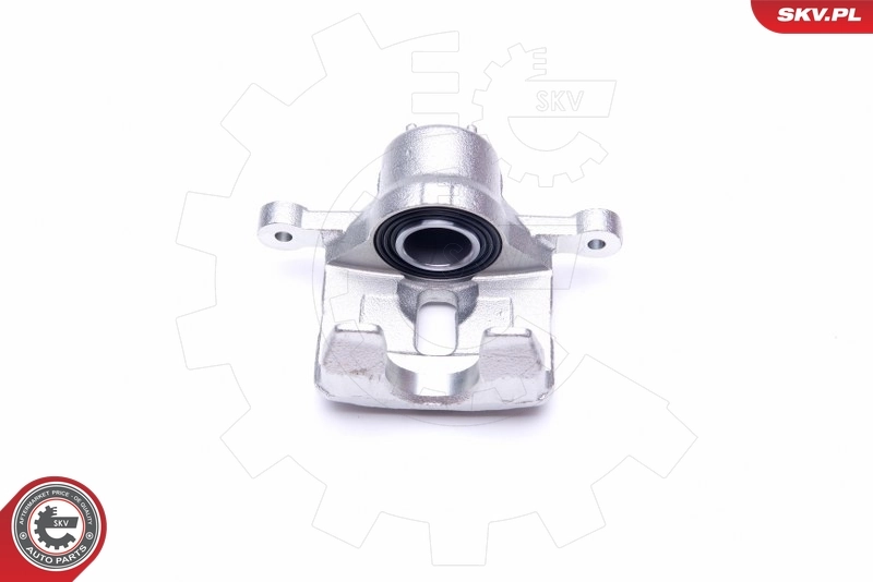Brake Caliper 42SKV473