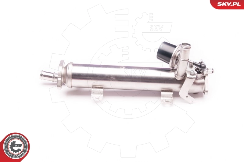 EGR Valve 14SKV123