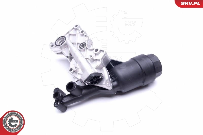 Oil Cooler, engine oil 31SKV171