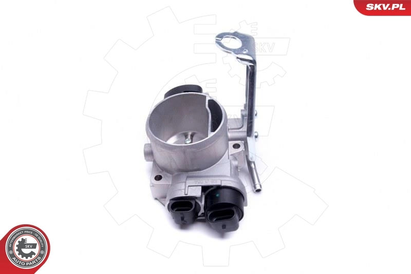 Throttle Body 12SKV084