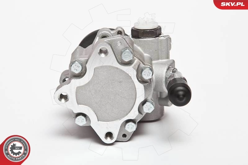 Hydraulic Pump, steering 10SKV123