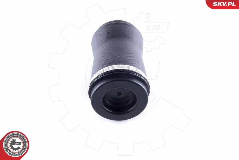 Air Spring, suspension 58SKV027