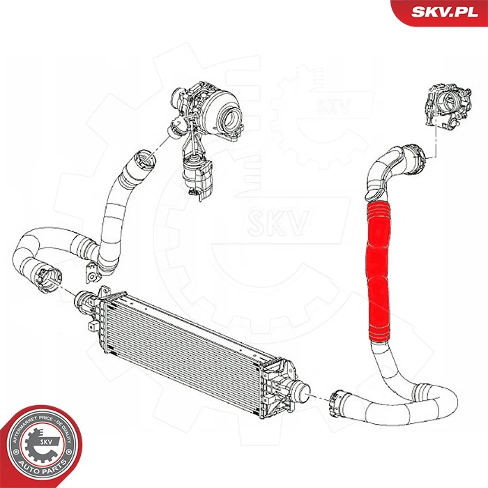 Charge Air Hose 43SKV466