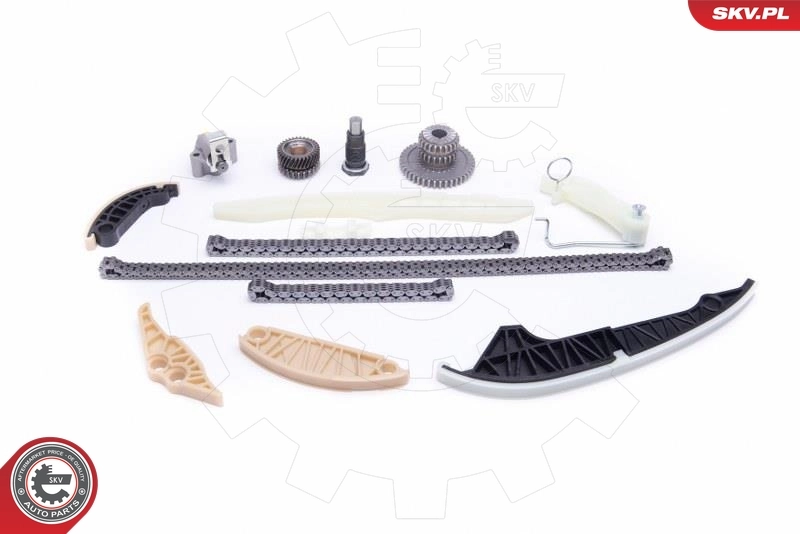 Timing Chain Kit 21SKV162