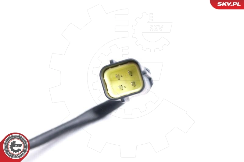 Oxygen Sensor 09SKV093