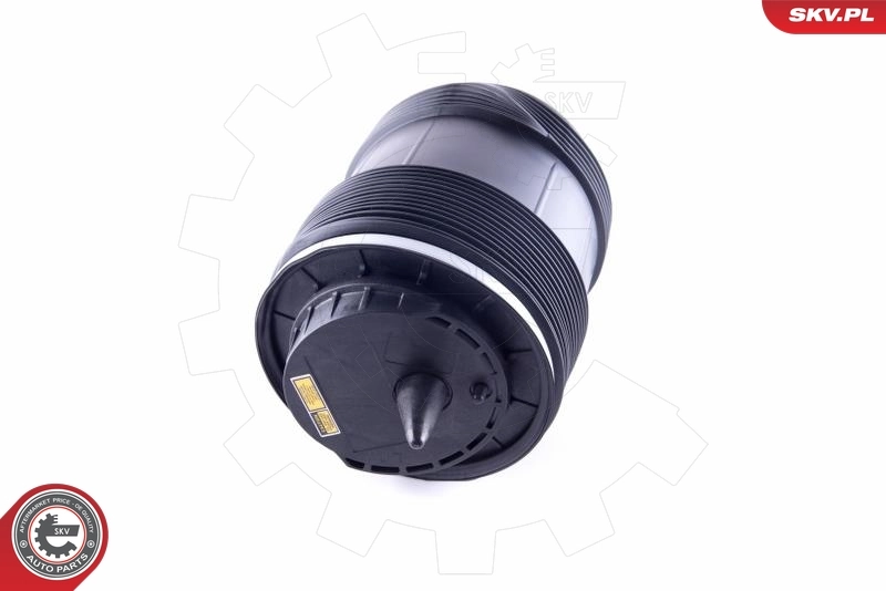 Air Spring, suspension 58SKV032