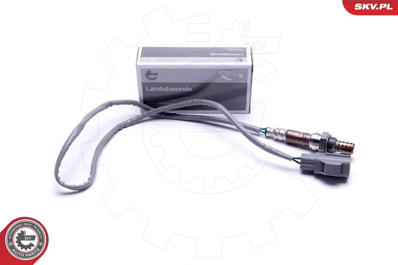 Oxygen Sensor 09SKV118