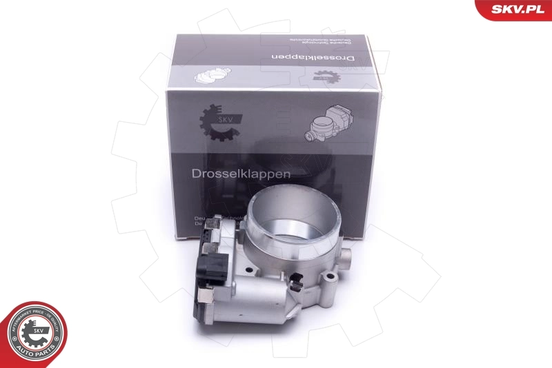 Throttle Body 12SKV109