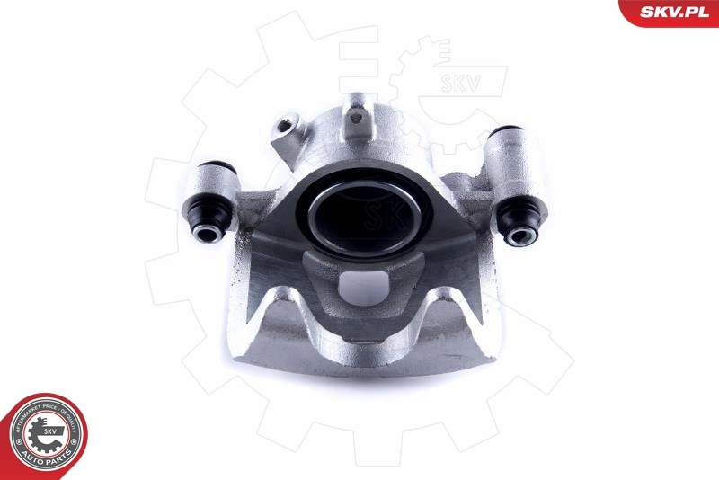 Brake Caliper 50SKV791