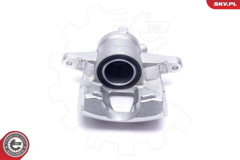 Brake Caliper 56SKV302