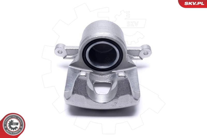 Brake Caliper 42SKV792