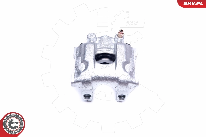 Brake Caliper 42SKV994
