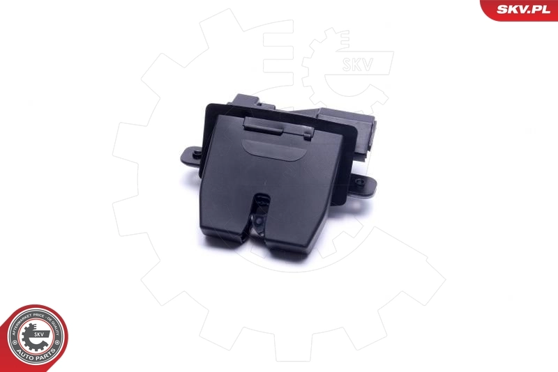 Tailgate Lock 16SKV356