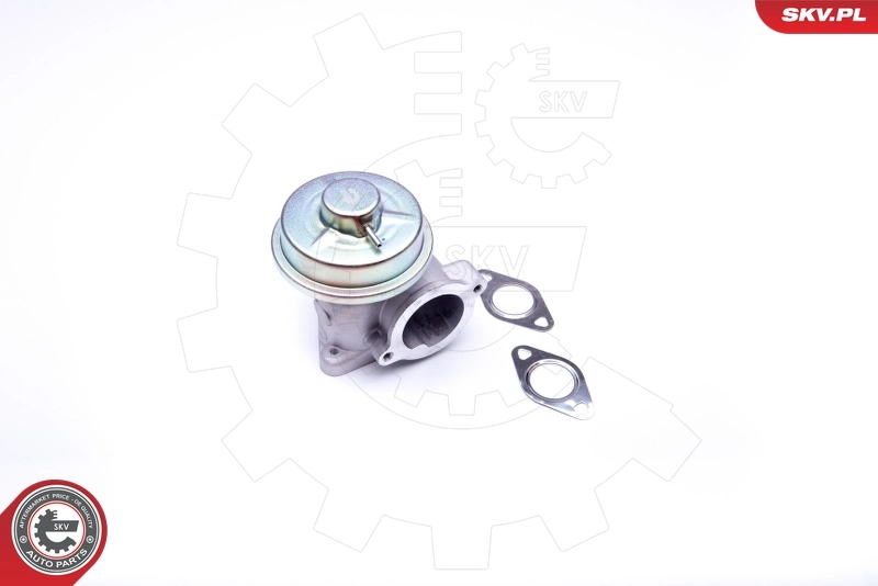 EGR Valve 14SKV092