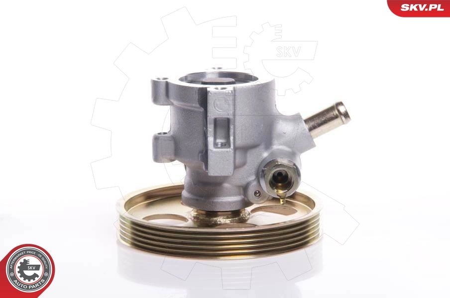 Hydraulic Pump, steering 10SKV119